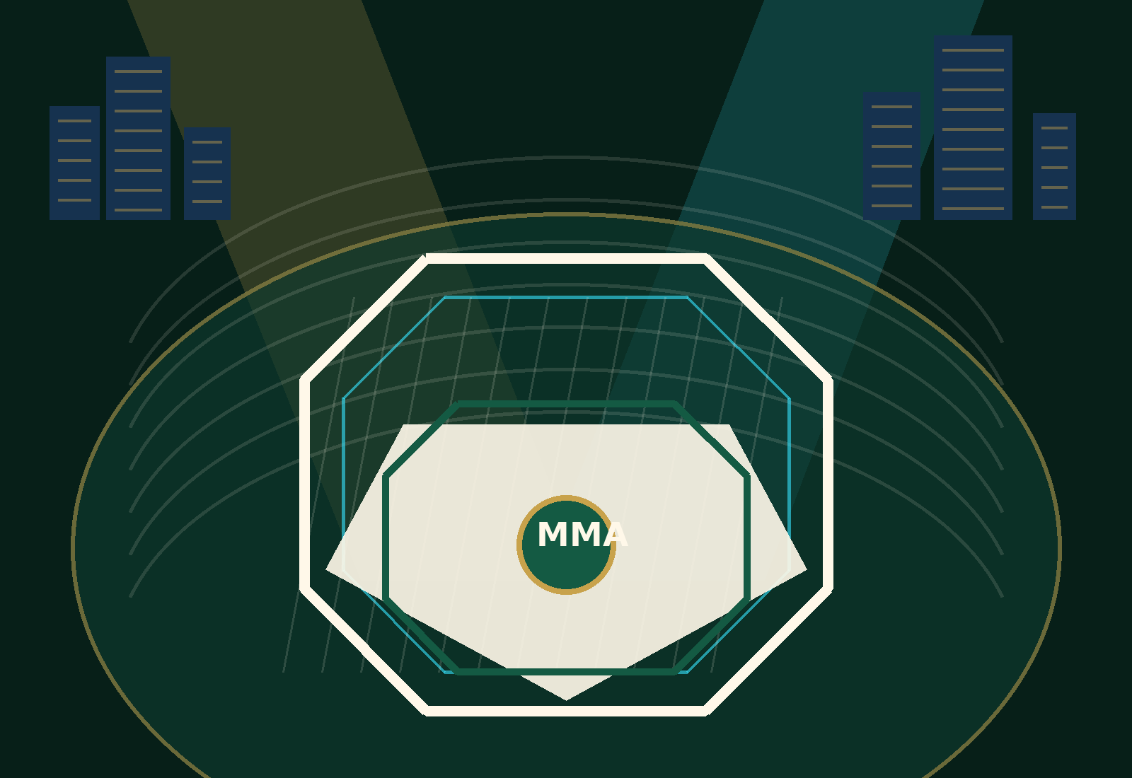 Original illustration of a Saudi MMA arena with an octagonal cage and city lights